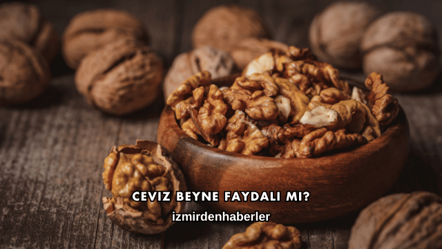 Ceviz Beyne Faydalı mı?