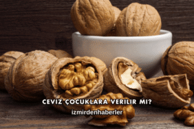 Ceviz Çocuklara Verilir mi?