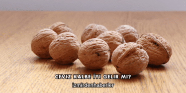 Ceviz Kalbe İyi Gelir mi?