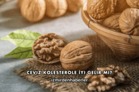 Ceviz Kolesterole İyi Gelir mi?