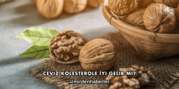 Ceviz Kolesterole İyi Gelir mi?