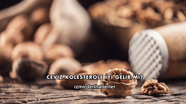 Ceviz Kolesterole İyi Gelir mi?