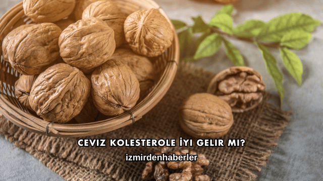 Ceviz Kolesterole İyi Gelir mi?