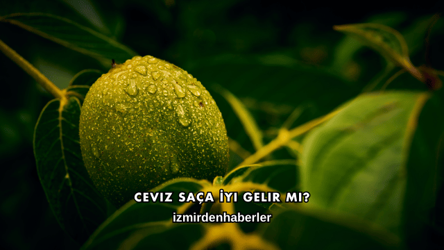 Ceviz Saça İyi Gelir mi?