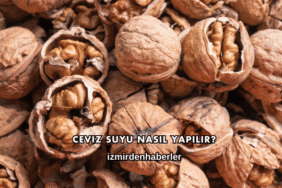 Ceviz Suyu Nasıl Yapılır?