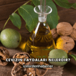Cevizin Faydaları Nelerdir?