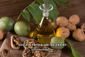 Cevizin Faydaları Nelerdir?