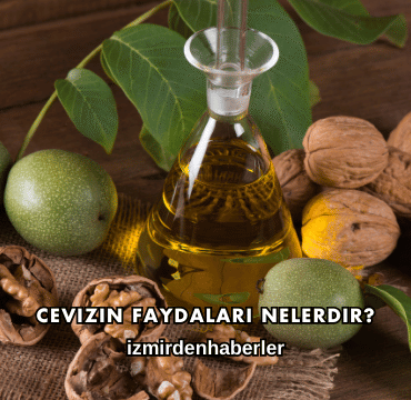 Cevizin Faydaları Nelerdir?