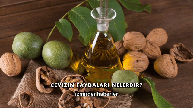 Cevizin Faydaları Nelerdir?