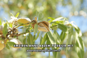 Emziren Anne Badem Yiyebilir mi?