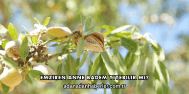 Emziren Anne Badem Yiyebilir mi?