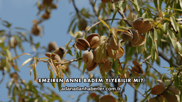 Emziren Anne Badem Yiyebilir mi?