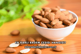 En Karlı Badem Çeşidi Hangisi?