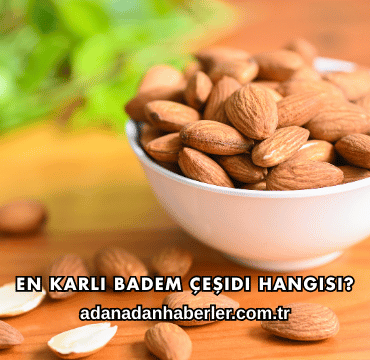 En Karlı Badem Çeşidi Hangisi?