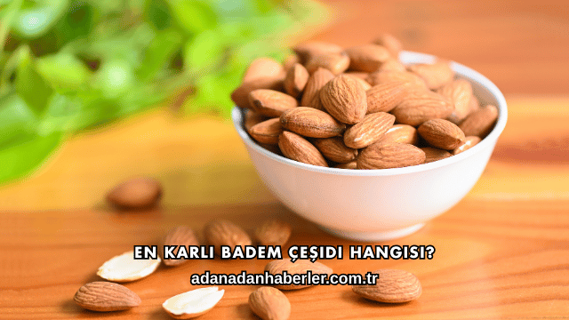 En Karlı Badem Çeşidi Hangisi?