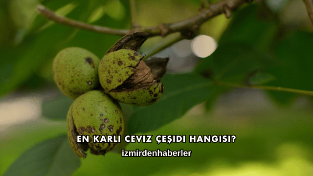 En Karlı Ceviz Çeşidi Hangisi?