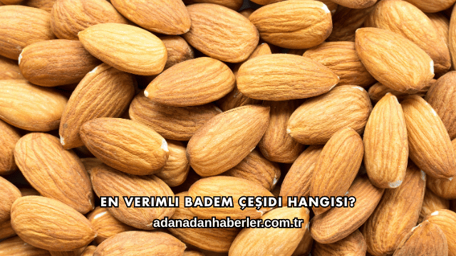 En Verimli Badem Çeşidi Hangisi?