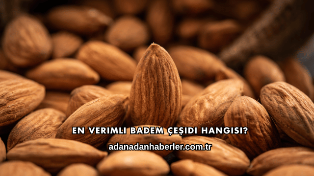 En Verimli Badem Çeşidi Hangisi?