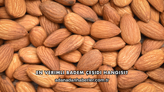 En Verimli Badem Çeşidi Hangisi?