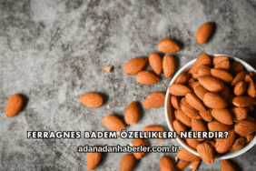 Ferragnes Badem Özellikleri Nelerdir?