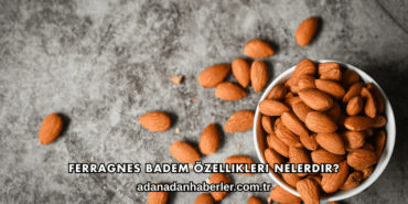 Ferragnes Badem Özellikleri Nelerdir?