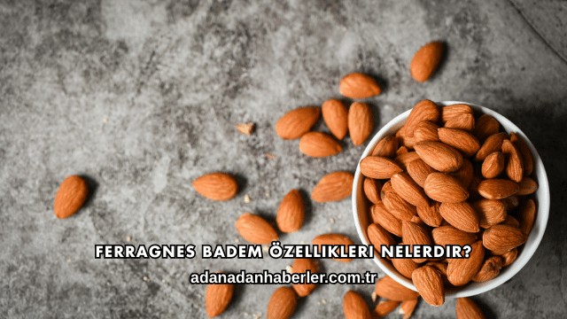 Ferragnes Badem Özellikleri Nelerdir?