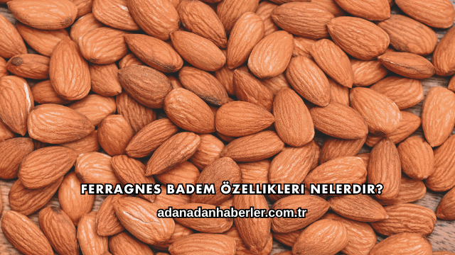 Ferragnes Badem Özellikleri Nelerdir?