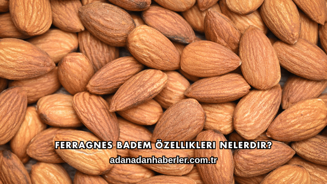 Ferragnes Badem Özellikleri Nelerdir?