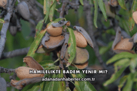 Hamilelikte Badem Yenir mi?