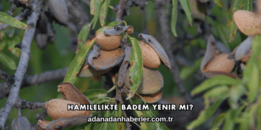 Hamilelikte Badem Yenir mi?