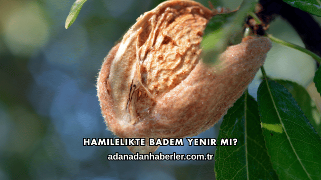 Hamilelikte Badem Yenir mi?