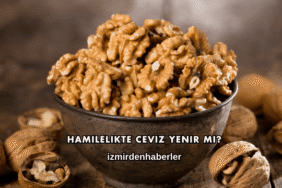 Hamilelikte Ceviz Yenir mi?