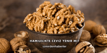 Hamilelikte Ceviz Yenir mi?