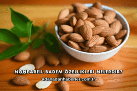 Nonpareil Badem Özellikleri Nelerdir?