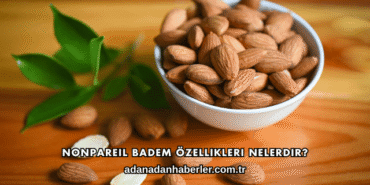 Nonpareil Badem Özellikleri Nelerdir?