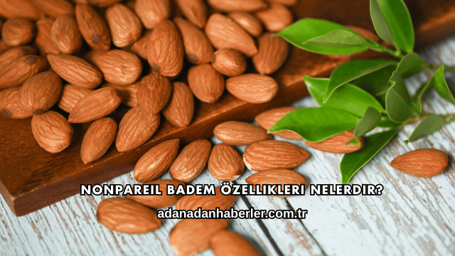 Nonpareil Badem Özellikleri Nelerdir?