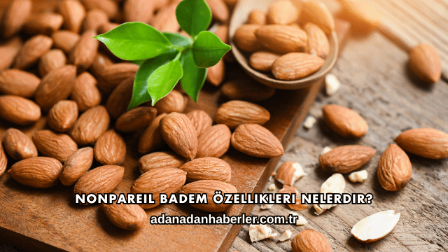 Nonpareil Badem Özellikleri Nelerdir?