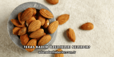 Texas Badem Özellikleri Nelerdir?