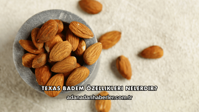 Texas Badem Özellikleri Nelerdir?