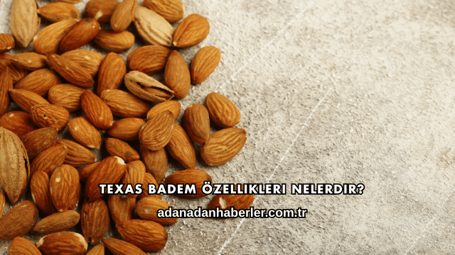 Texas Badem Özellikleri Nelerdir?