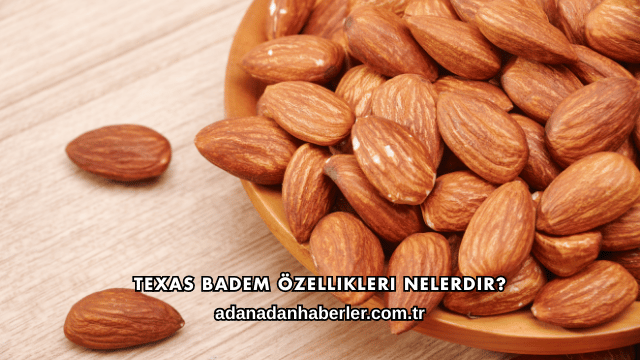 Texas Badem Özellikleri Nelerdir?