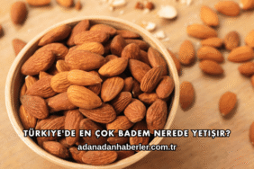 Türkiye'de En Çok Badem Nerede Yetişir?