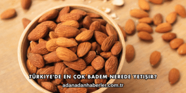 Türkiye'de En Çok Badem Nerede Yetişir?