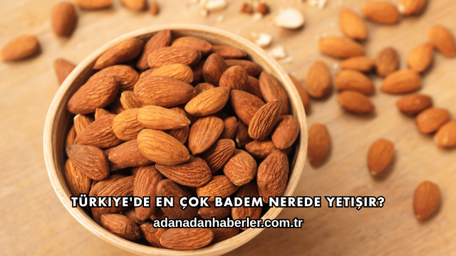 Türkiye'de En Çok Badem Nerede Yetişir?