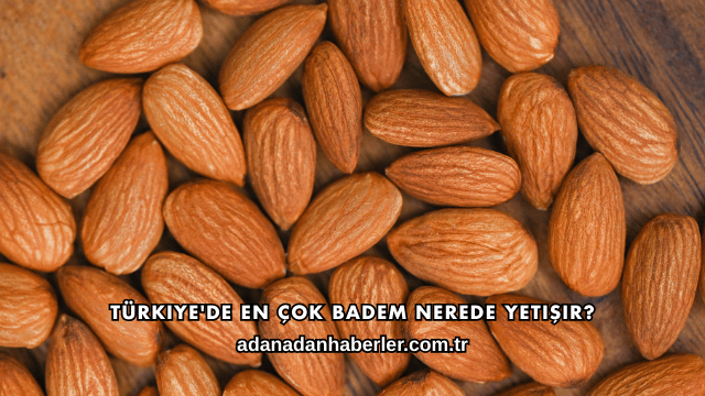 Türkiye'de En Çok Badem Nerede Yetişir?