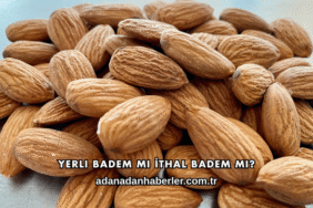 Yerli Badem mi İthal Badem mi?