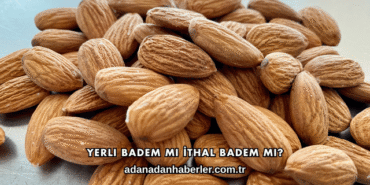 Yerli Badem mi İthal Badem mi?