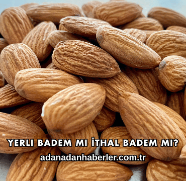 Yerli Badem mi İthal Badem mi?