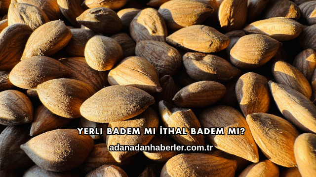 Yerli Badem mi İthal Badem mi?