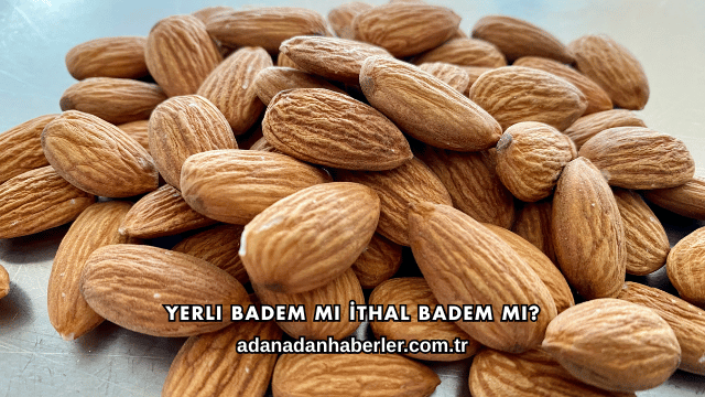 Yerli Badem mi İthal Badem mi?